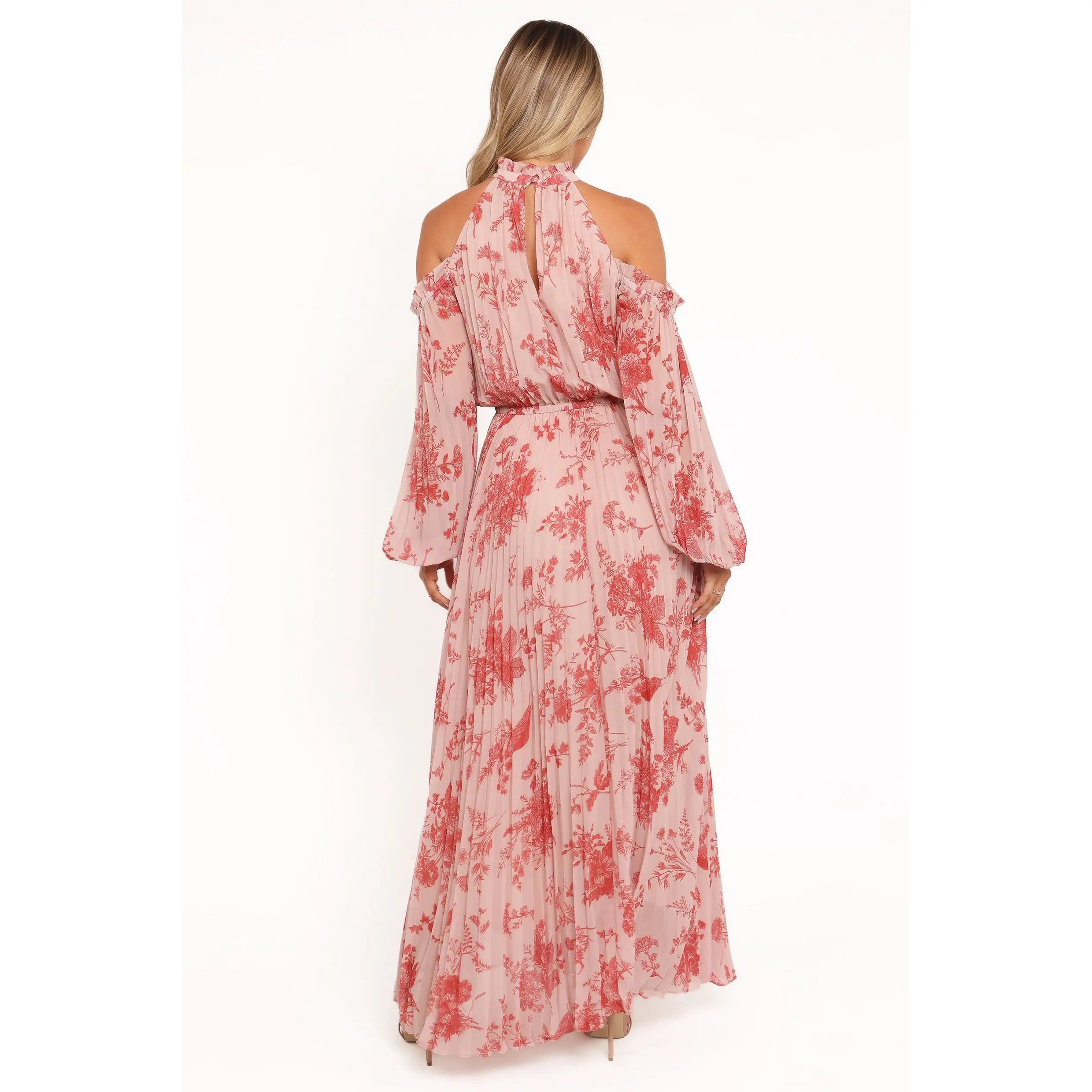 chinese dress ladies Petal & Pup Hilary Pleated Maxi Dress