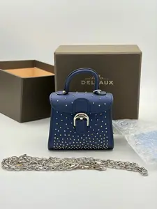 Pre-owned delvaux Christmas Limited “Starry Sky” Collection Mini Coin Purse Chain Crossbody Bag