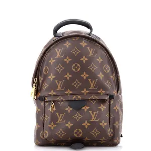 Pre-owned Louis Vuitton Canvas Coated Backpacks Palm Springs Backpack Monogram Canvas PM by Rebag