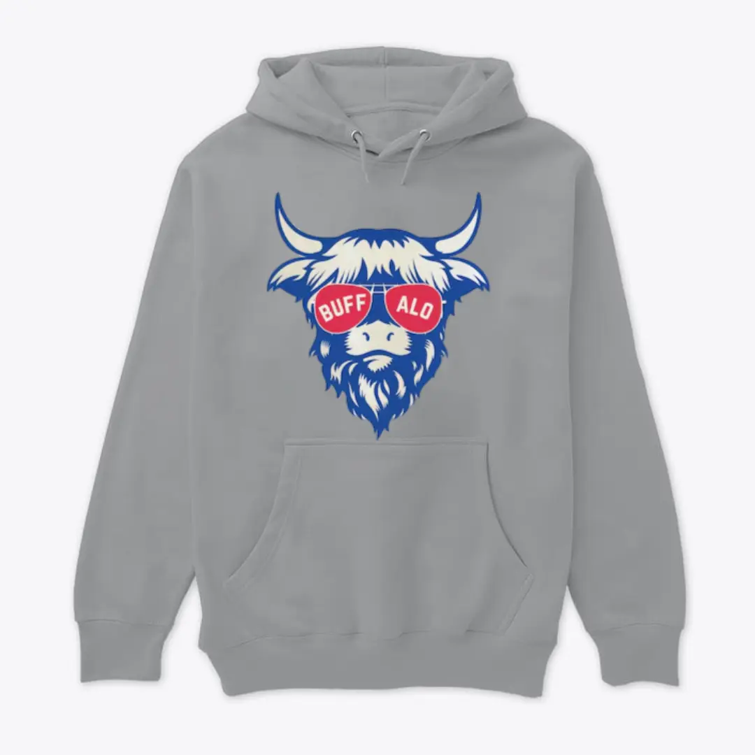 Buffalo Football Hoodie, Bills Football Hoodie, Buffalo Football Apparel, Buffalo Sports Apparel, Retro Bills Football Gift