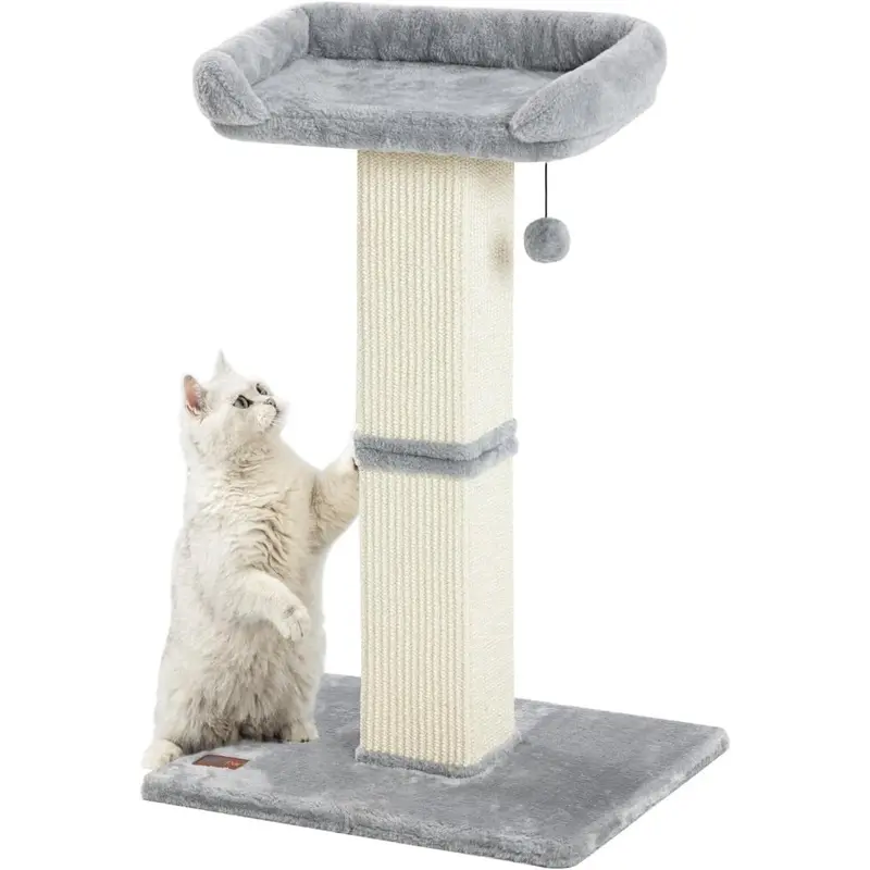 cat scratching post replacement - TikTok Shop