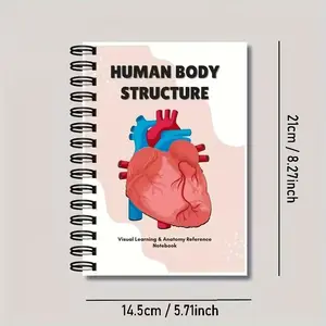 Visual Human Body Anatomy Teaching Guide, Full Diagram Breakdown, Ideal for Art Students, Cartoon & Animation Artists, Enhances Drawing Skills, Steno Notebook, Muscles