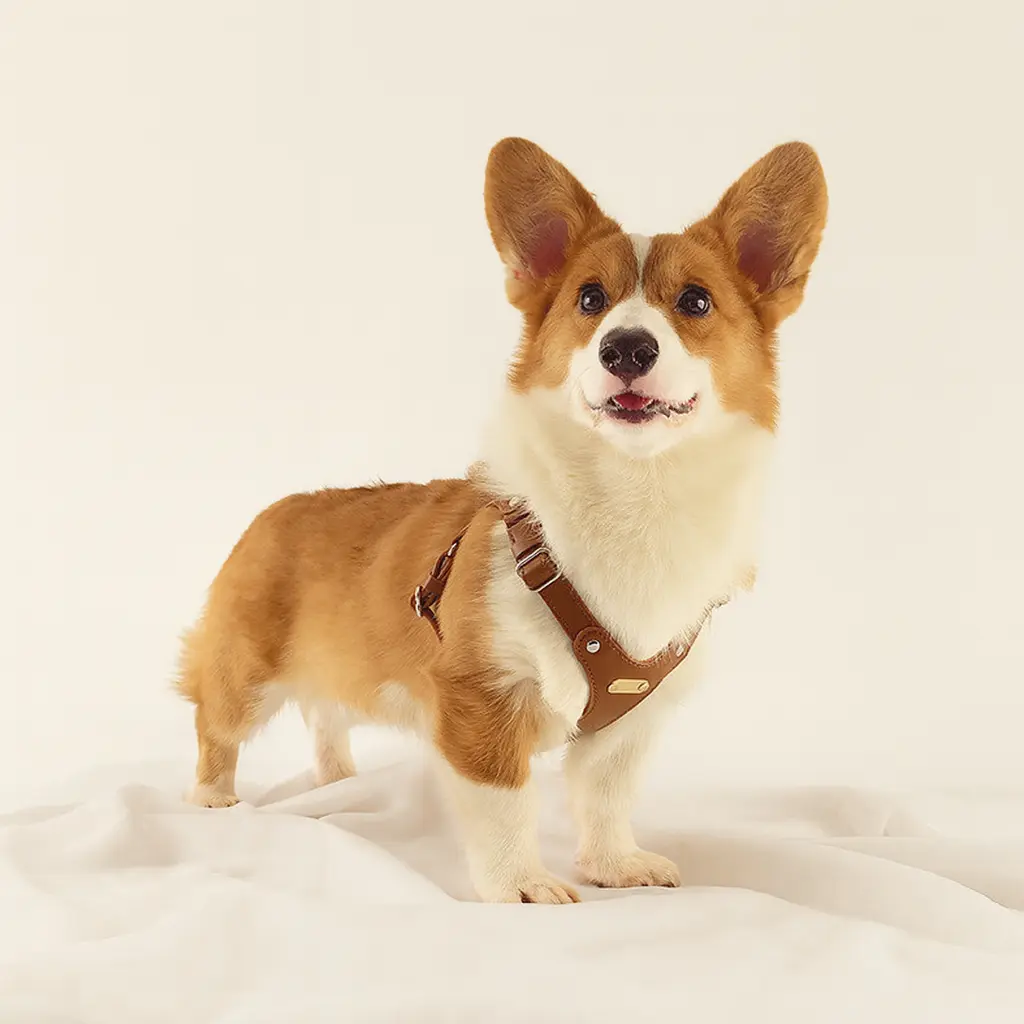 PawLikee Eco-Friendly Leather Safety Dog Harness - Comfortable Canine Pet Accessory with Ergonomic Design, Adjustable Straps, Solid Metal Buckles, Refined Look for Walking & Outdoor Activities, Safety Harnesses, Elegant