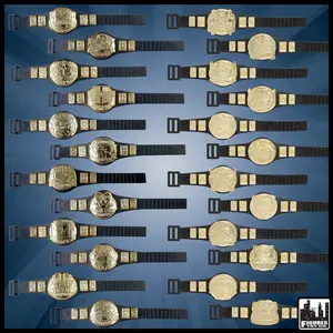 Complete Set of 24 Championship Belts for WWE Wrestling Action Figures (Series 1 and 2)