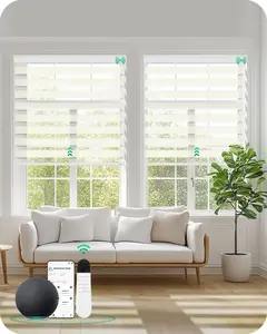 Allesin Motorized Zebra Blinds with Remote | Electric Dual Layer Light Contorl Shades, Cordless Smart Blinds for Living Room, Bedroom, Home Office
