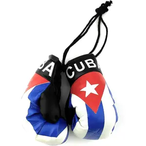 Mini guantes de boxeo para espejo de coche, Cuba  Ent Hanging Car Mirror Mini Boxing Gloves (Cuba)