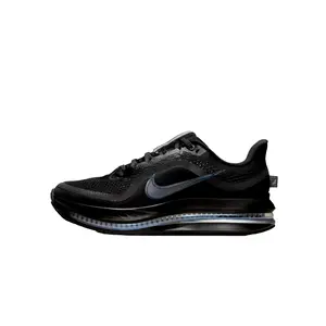 Nike Pegasus Premium Black / Black - Metallic SIlver  HQ2593-004 Women's