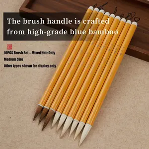 10PCS Chinese Calligraphy Brush Set Medium Size, Mixed Hair Brushes for Beginners, Writing Practice Tools & Ink Art Supplies