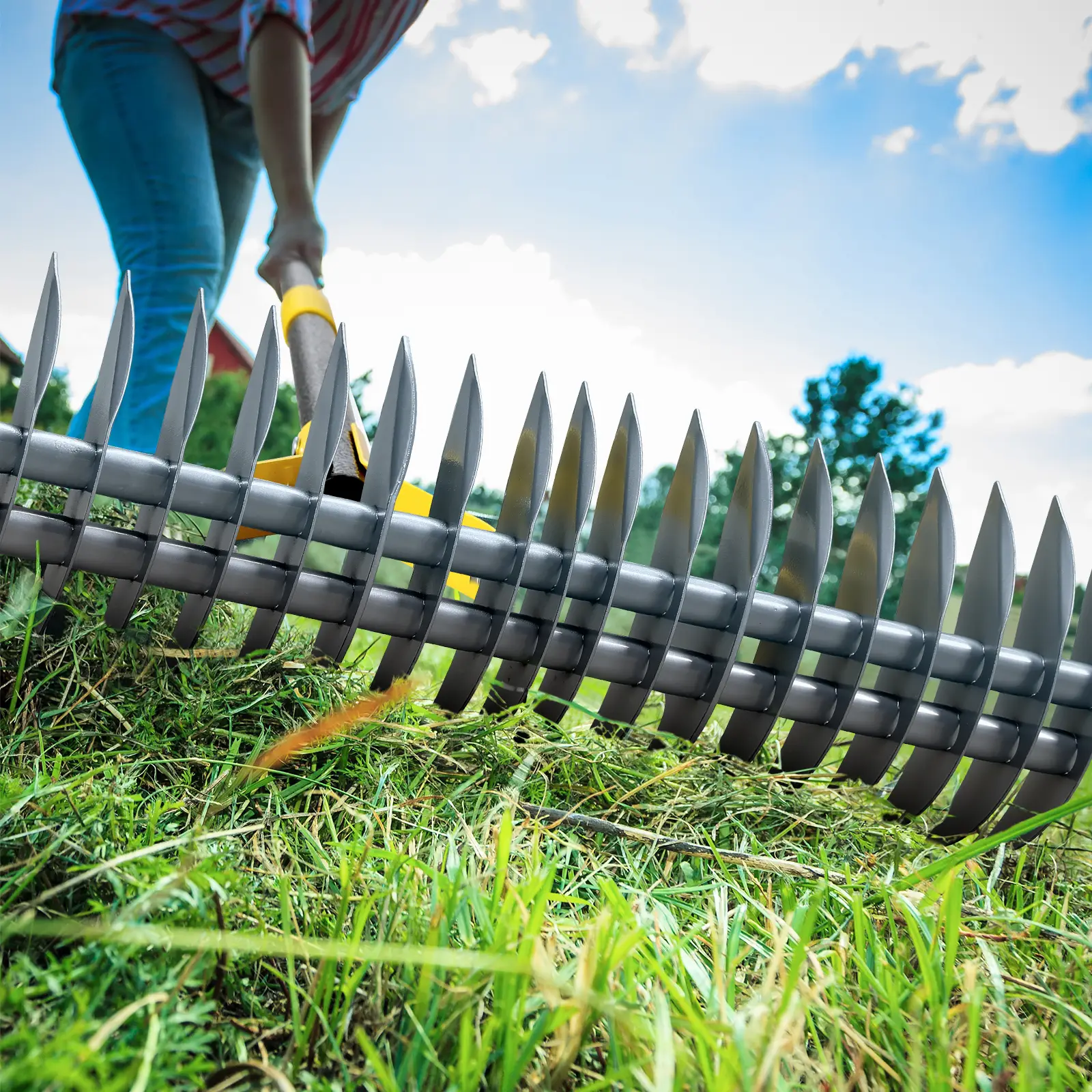 Thatch Rake, Heavy Duty Lawn Thatching with Adjustable Stainless Steel Handle,Multiple Garden Rake for Leaves,Lawn Loosening Soil,Backyard,Garden