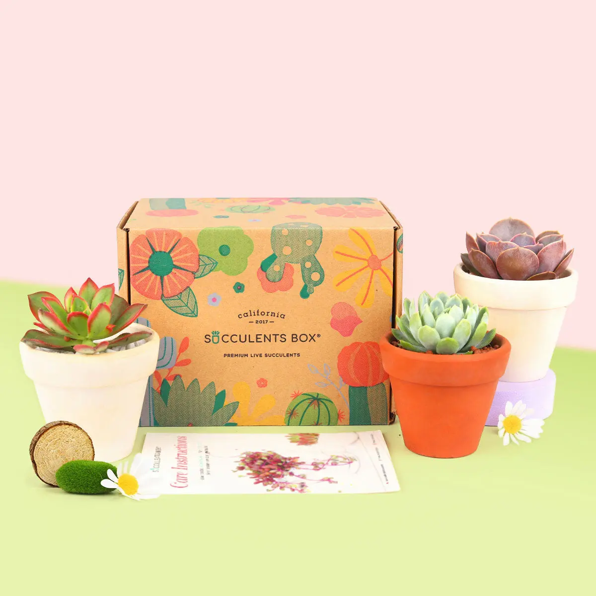 3 Succulents 3 Clay Pots/month | Subscription Boxes Auto renew