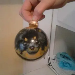 PetArtbyTiger Studios Pet Ornaments | Acrylic Paint | Cmas Ornaments | Seasonal Decor