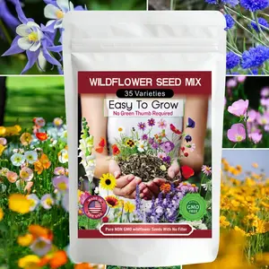 Wildflower Seed Mix 2Packs 35 Varieties 20000+Pcs, bulk wildflower seed for Outdoor Planting, Colorful Annual and Perennial Flowers