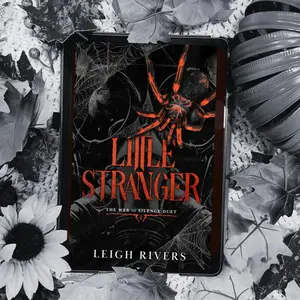 Little Stranger: A Dark Taboo Romance -- Leigh Rivers - Paperback