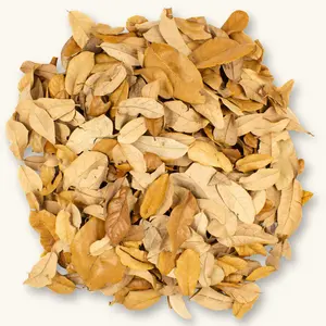 Natural Texas Live Oak Leaf Litter (12oz/32oz) by Betta Botanicals for Dart Frog Vivariums & Blackwater Aquariums