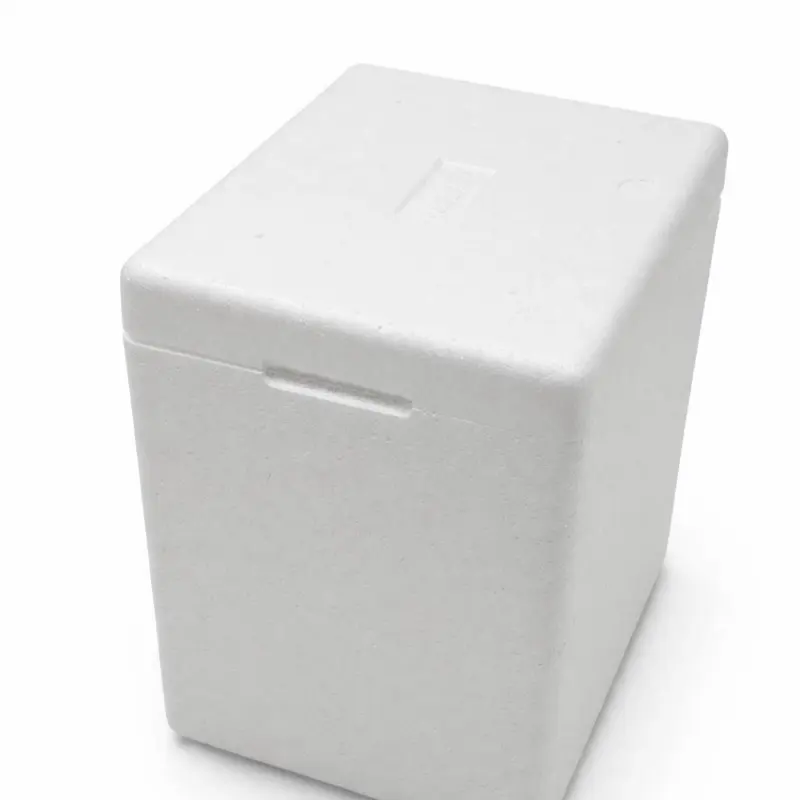 Product 1 and 3 mini Portable Styrofoam  Cooler with Lid  comes in two size options ) Product 2– 6x8 inch White Gel Ice Pack – 1Pack