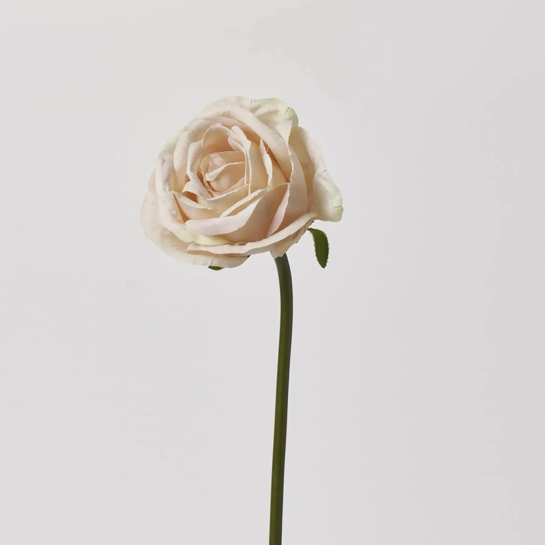 Cream Rose Bloom Single Stem Faux Floral Spray - 19"
