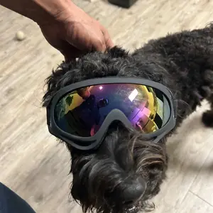 [HipiPet] Dog Goggles for Small & Large Breeds - UV Protection Windproof Sunglasses for Dogs- Pet Safety Sun Glasses