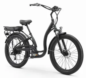 Simple  Step-Thru 750W Deluxe EBIKES