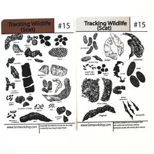 Tip Card #15 Animal Tracking  (Scat): Wild Animal Scat Identification Chart