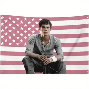 a Humorous Pink Dylan Flag Measuring 3X5 Feet, Ideal for American O'Brien Flags Merchandise. It Comes with Four Grommets, Perfect for Decorating College Dorm Rooms, Outdoor Gatherings, Tailgates, And As a Gift. (Grommet Colors May Vary.) Home Decor Gifts