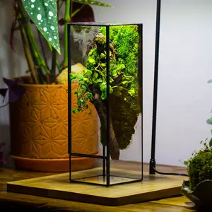 NCYP Closed Glass Terrarium with Door, 3.9x3.9x11.8inches, Rectangular Tall Planter for Fern, Moss, Succulents, Home Tabletop Decoration, Terrarium Only