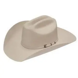 Dallas Twister 4" Brim | Silverbelly