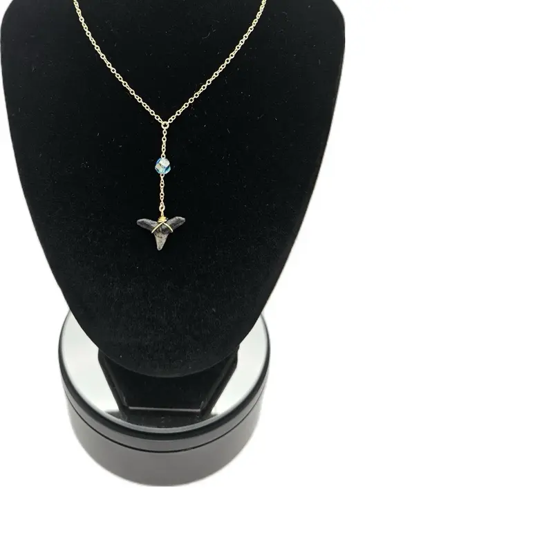 Shark tooth fossil necklace!