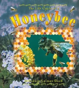 USED-Honeybee by Kalman, Bobbie (Paperback)