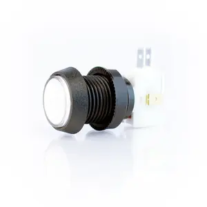 Small White Plastic Mechanical Push Button
