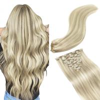 #17A/60A Ash Blonde Highlighted Platinum Blonde