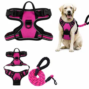 No Pull Dog Harness with Leash, Reflective Adjustable Dog Vest Harness with Handle, Anti-Choke Oxford Pet Harness for Small Medium Large Dogs