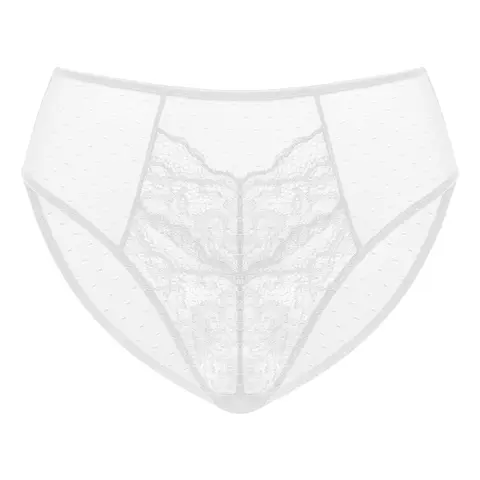 HSIA Women's Floral Soft Lace Sheer Mesh Spandex Lightweight High-Rise Bikini Brief Lingerie Panties