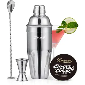 Cocktail Shaker 24oz Drink Shaker with Bartender Strainer, Measuring Jigger, Bar Mixing Spoon, Cocktail Recipe Guide, Professional Drink Mixer Set for Beginners, Silver