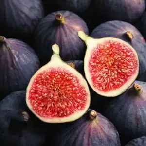 300 Fig Tree Seeds Black Sweet Fruit Shrub Bonsai Fresh 2024