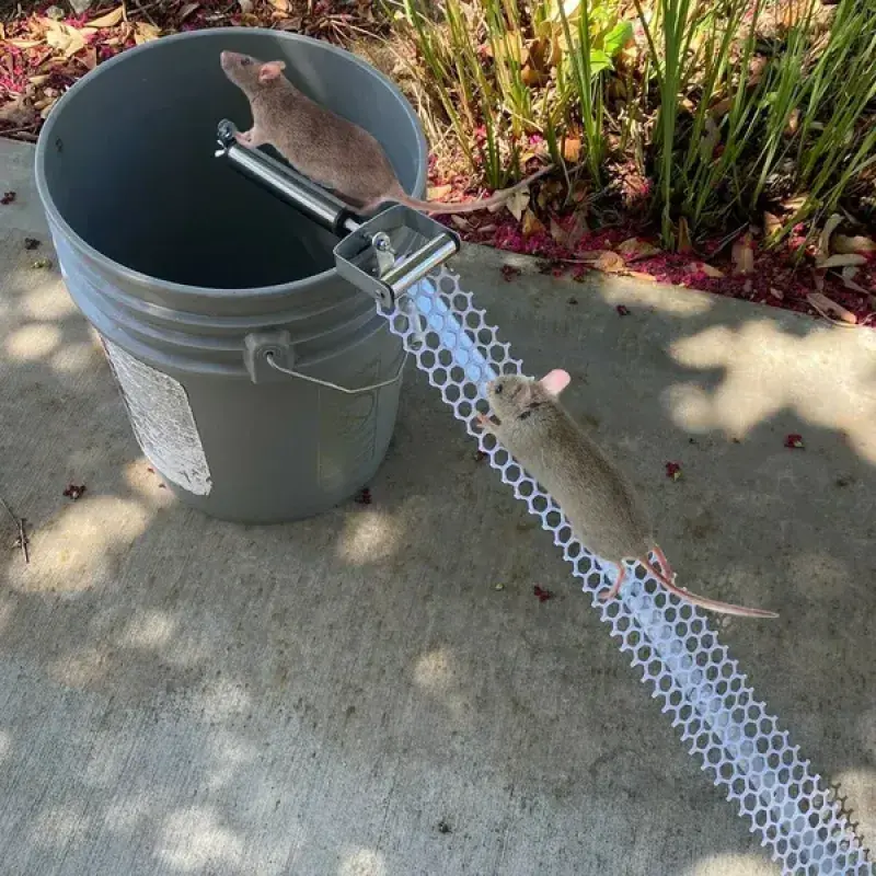 Reusable Rolling Mouse Trap for Bucket | Auto-Reset Wooden Log Catcher