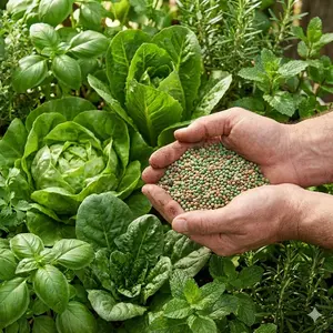 Say goodbye to low productivity! 200g fruit, vegetable and flower accelerator, ultra-concentrated formula power, earlier flowering period, double fruit harvest