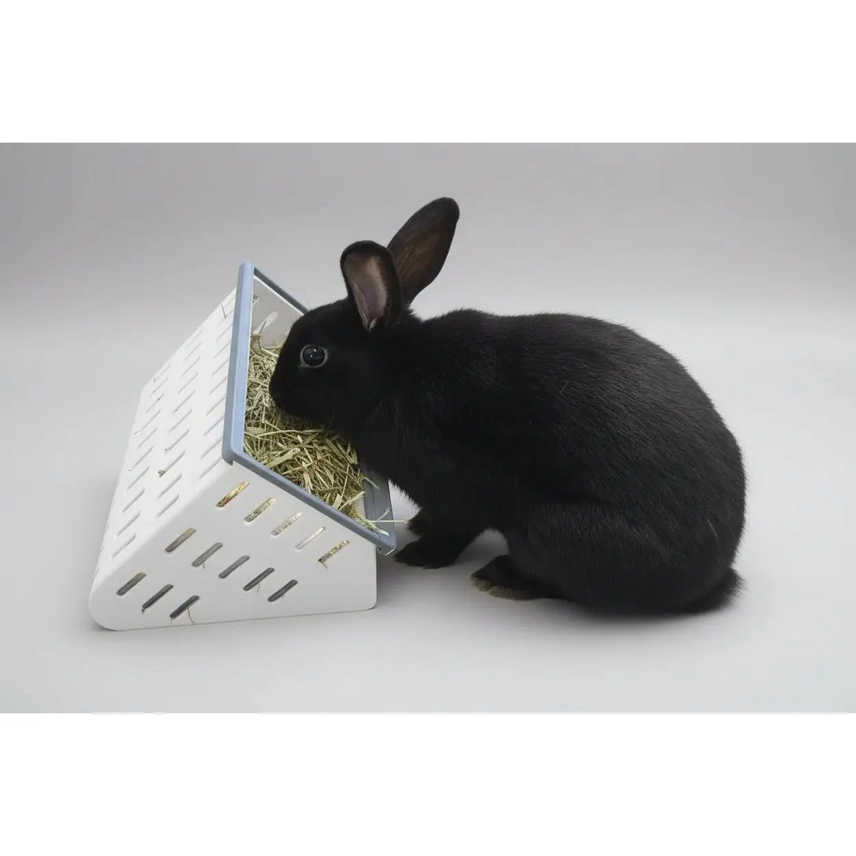 Open Air Hay Feeder