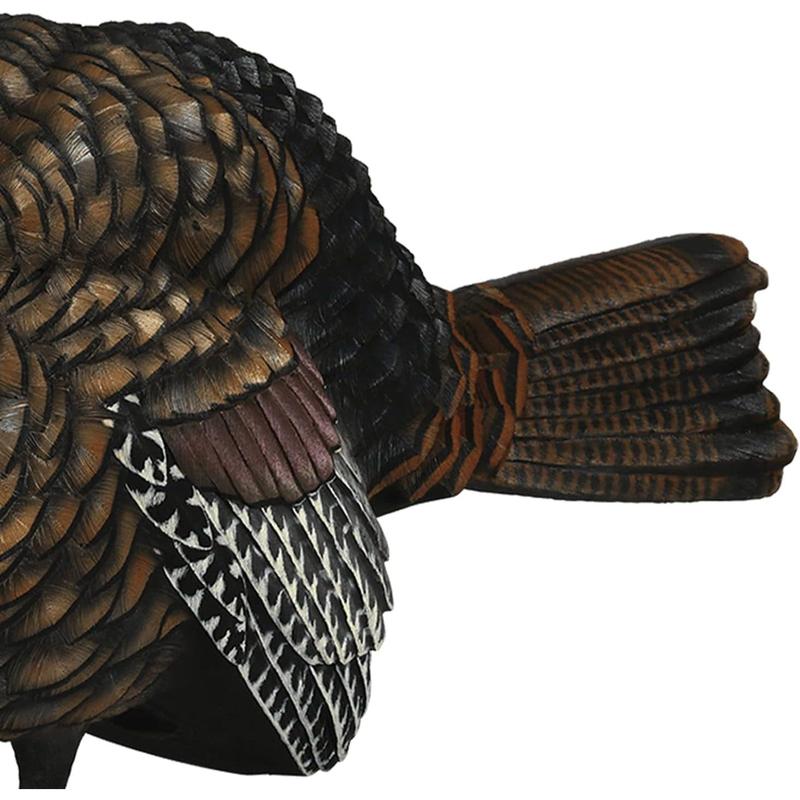 LCD Half-Strut Jake Turkey Decoy| Durable Realistic Lifelike Collapsible Standing Hunting Decoy with Carry Bag & Stake, AVX8012 Solar Trail Camera Phone Alerts