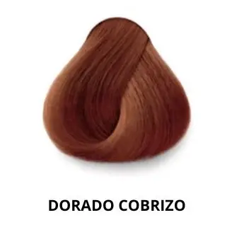 DORADO COBRIZO REFLECTS