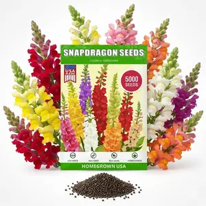 5000pcs SNAPDRAGON SEEDS Antirrhinum seeds Snowflake Snapdragon Flower Seeds Outdoor-Perennial Heirloom Antirrhinum  Plant Seed Attracts Bees& Attracts Butterflies Seed Mix Color Seeds for Planting Indoors and Outdoors