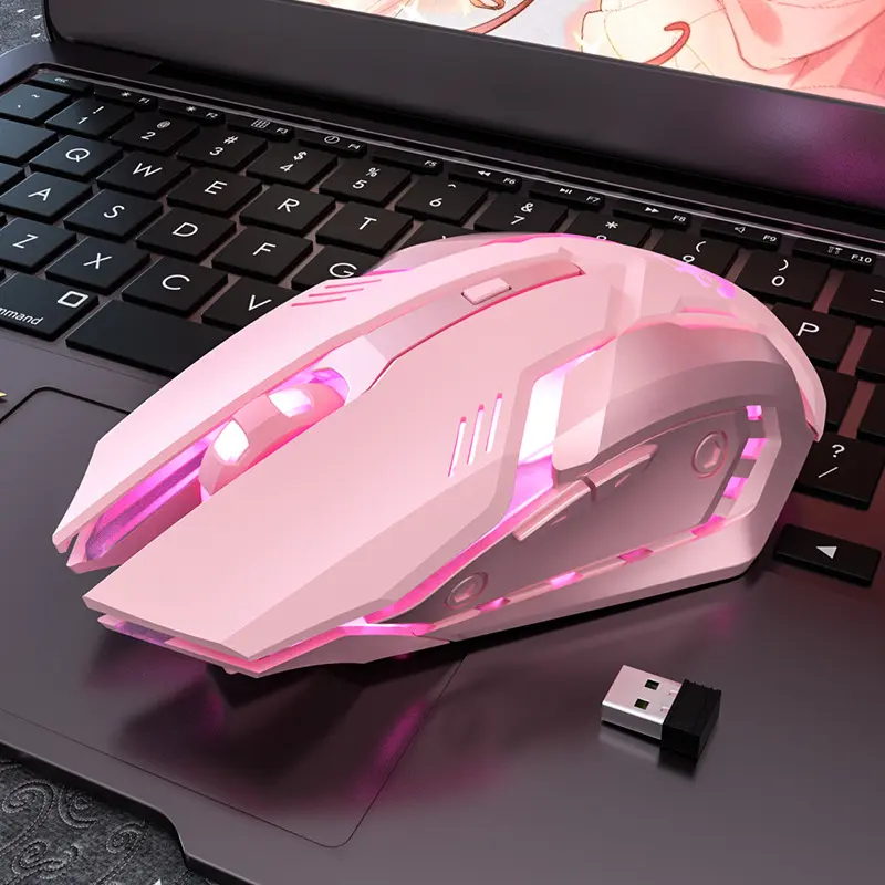 Gaming Mute Mouse Cute RGB Gamer 6 Buttons Mice Optical Office Computer Mouse For Desktop Laptop Ergonomic Game Mouse Hot Swappable Rgb