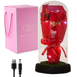 Romantic LED Rose Dome Glass Light with Red Eternal Flowers USB & Battery Operated Night Light for Valentine's Day Weddings for birth day Home Décor 8.4in x 5.31in x 10.24in