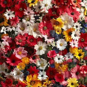 1000 Wildflower Seeds – Beautiful, Low-Maintenance Garden Flowers