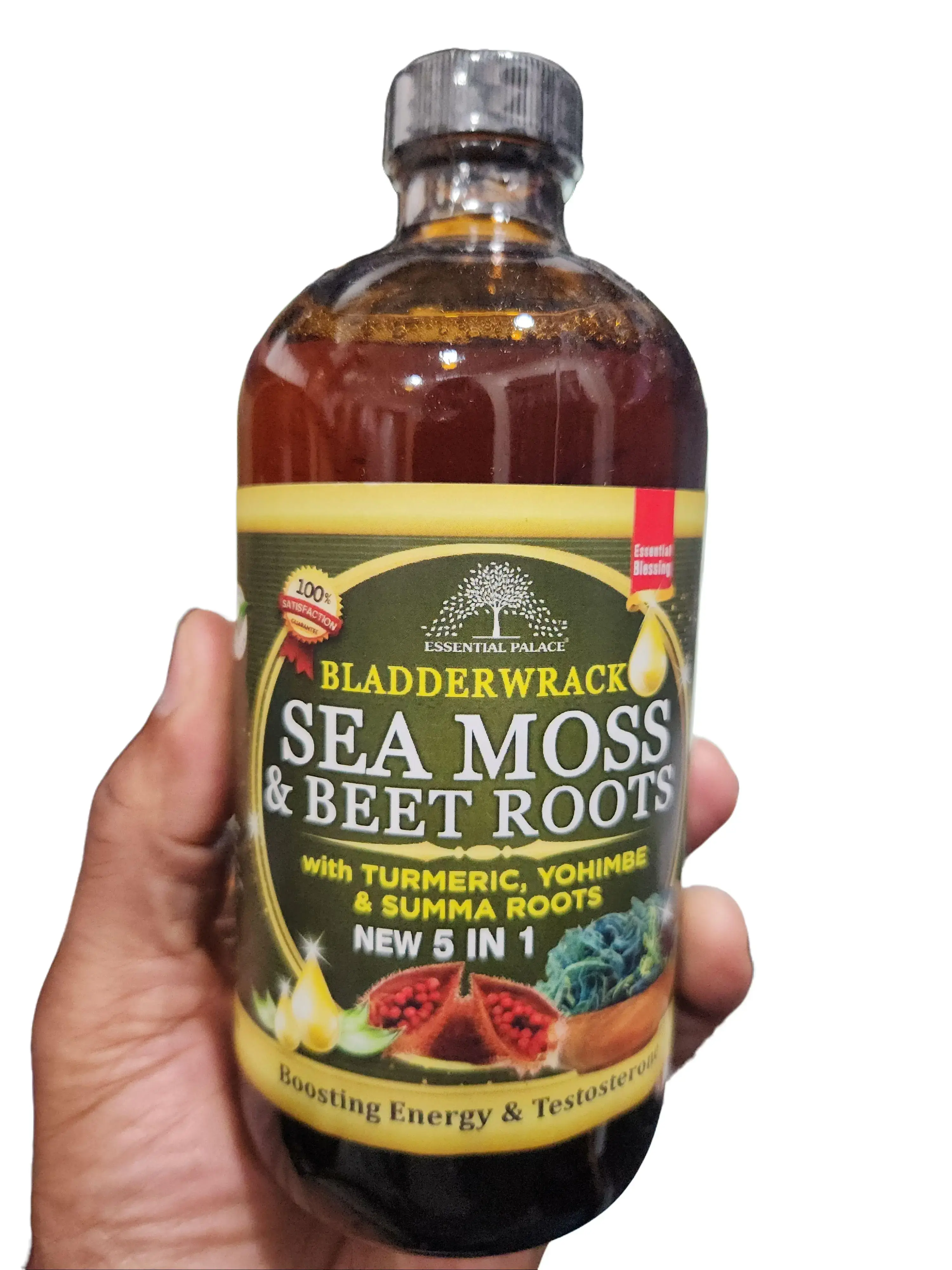 Essential Palace Bladderwrack Sea Moss & Beet Root Bitters Herbal Dietary Supplement - 16 fl oz Glass Bottle, Vegetarian Plant-Based Edible Blend with Spirulina, Ginseng, Tamarind, Licorice, Fennel Seeds for Fitness & Healthcare Support