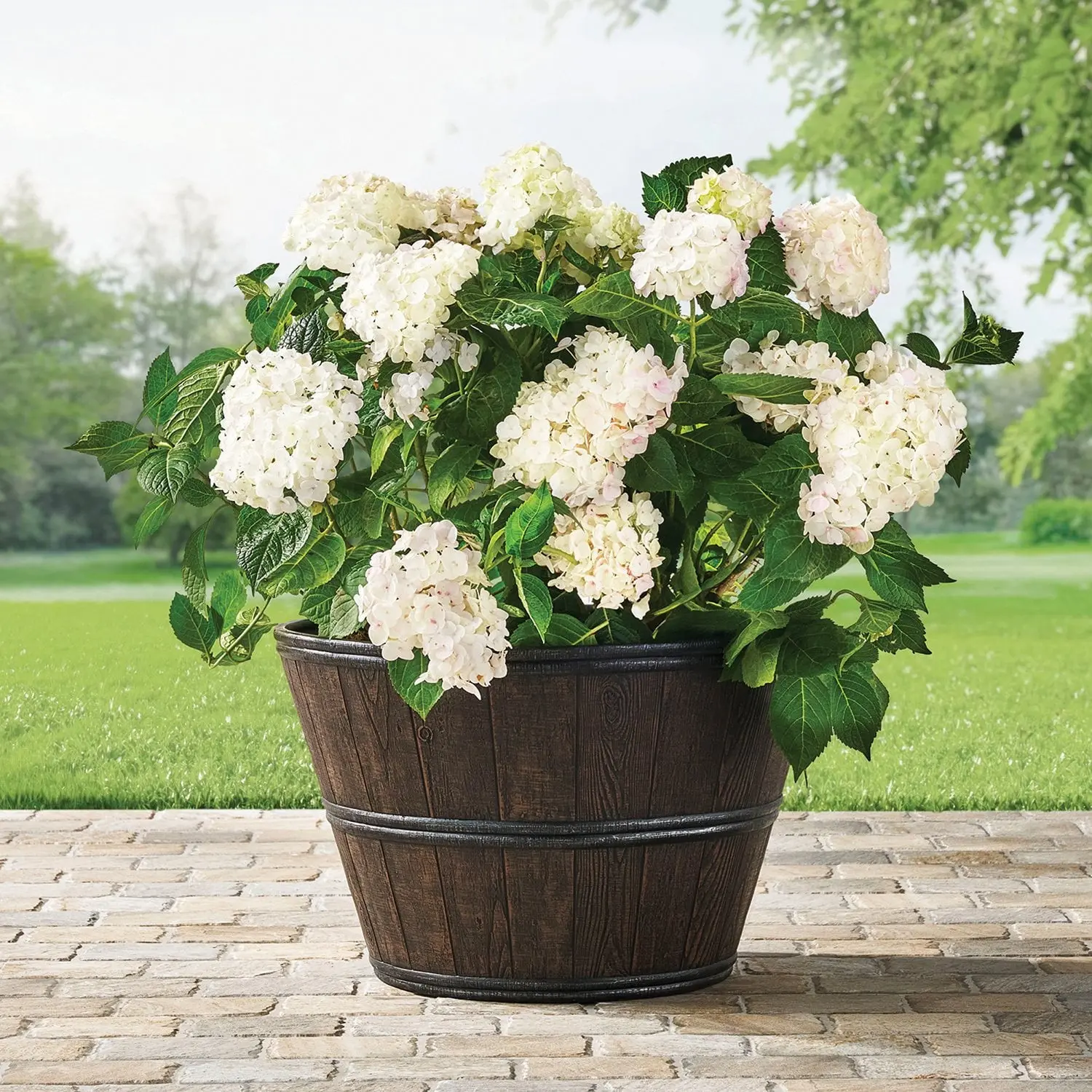 Member’s Mark 22" Wine Barrel Planter – Rustic Outdoor & Indoor Garden Container for Flowers, Herbs, and Small Plants