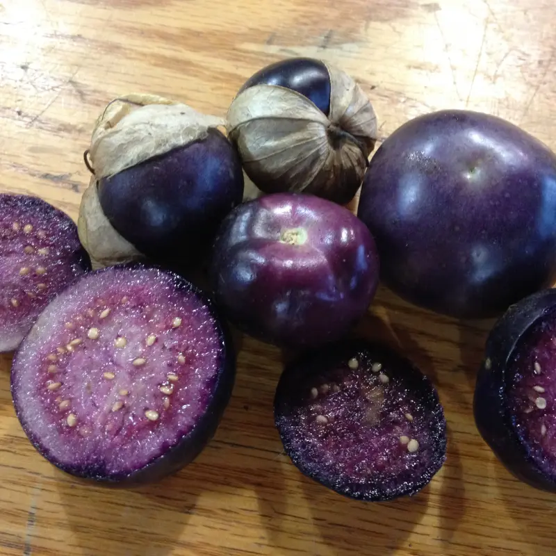 Purple Tomatillo Organic Seeds (Physalis ixocarpa) – A striking purple-hued tomatillo with a sweet-tart flavor, perfect for salsas and sauces.