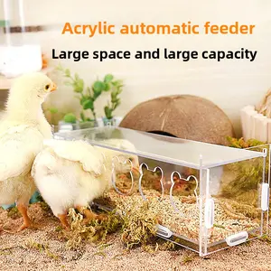 Chicken Waterer & Feeder Set for Chicks, Quail and Button Quail, Practical Feeding & Watering Supplies for Brooding