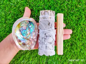 White Sage Smudge Kit Mini w/ Detailed Instructions, Abalone Shell and Palo Santo, Sage Smudge Cleansing Kit "G", Energy Cleansing Kit