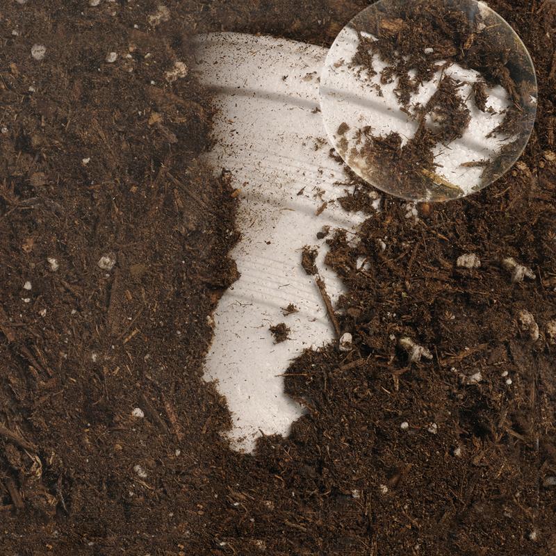 Educational Insights See-Through Compost Container, STEM Toy for Homeschool or Classroom, Ages 4+