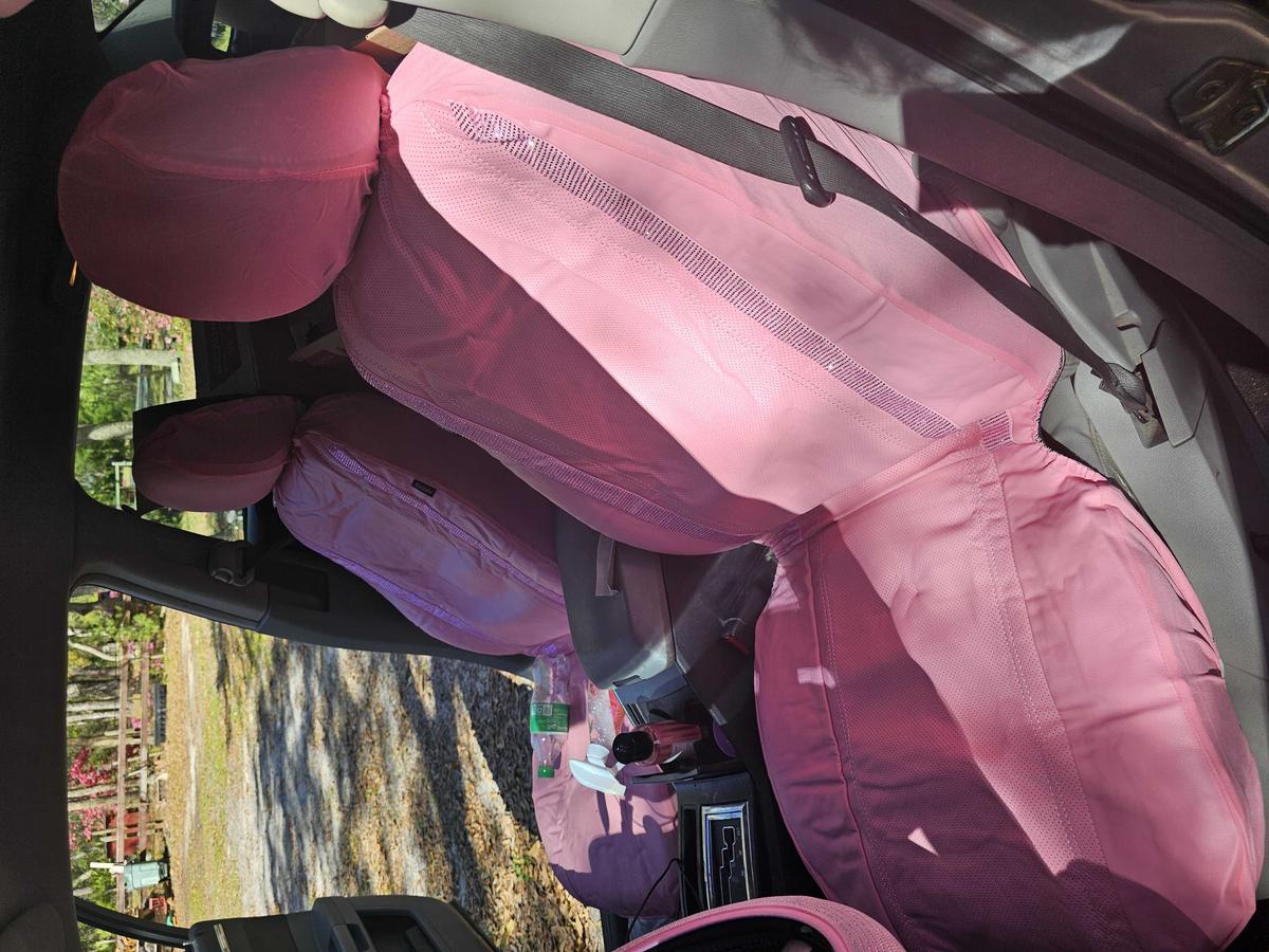 Item: All Pink-Two Front Seats